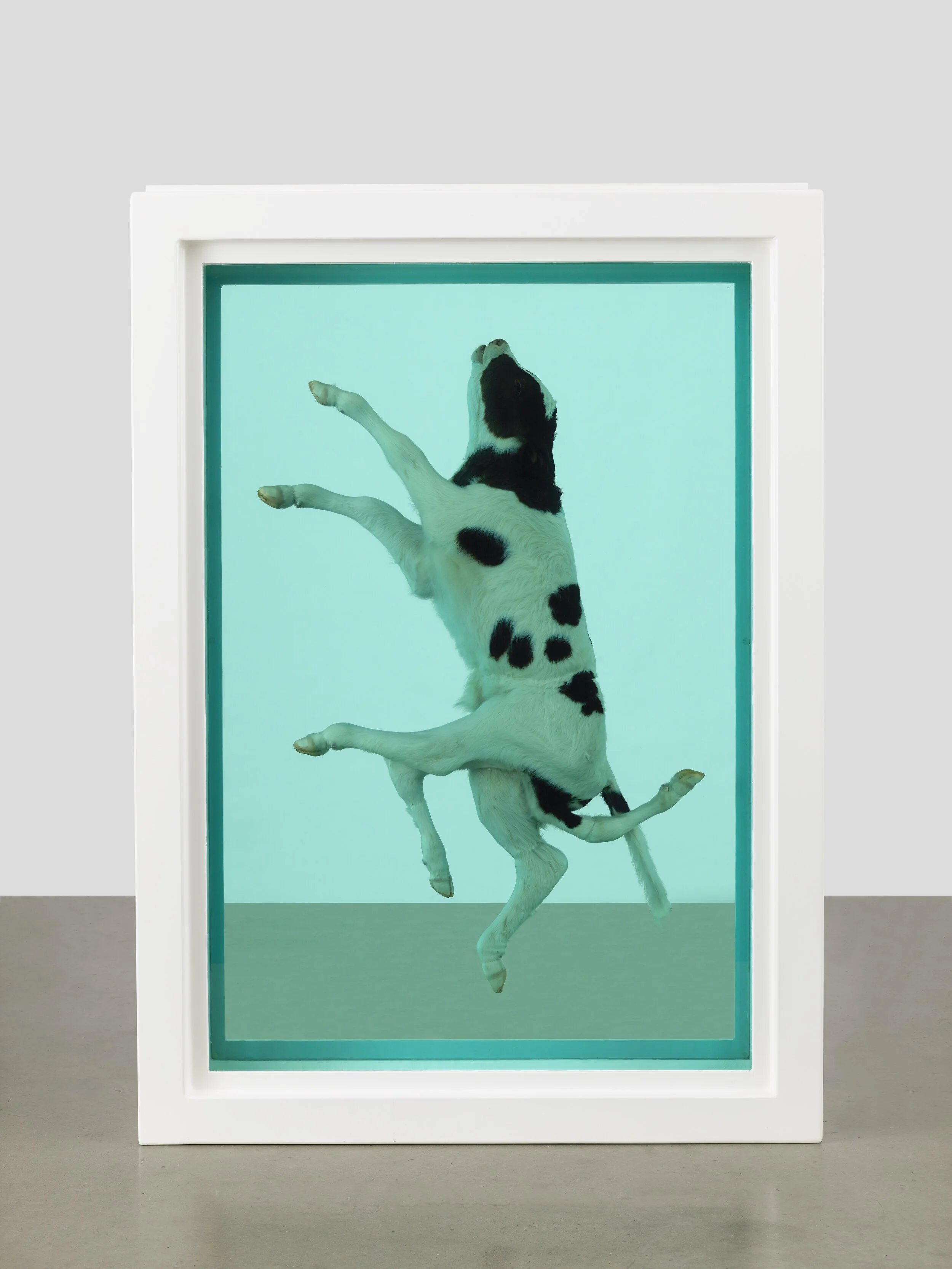 DAMIEN HIRST | Mental Escapology Exhibition